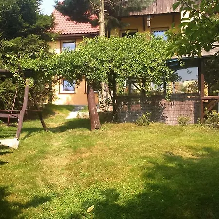 Arnica * Sklářská Poruba